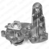 DELPHI WP2190 Water Pump